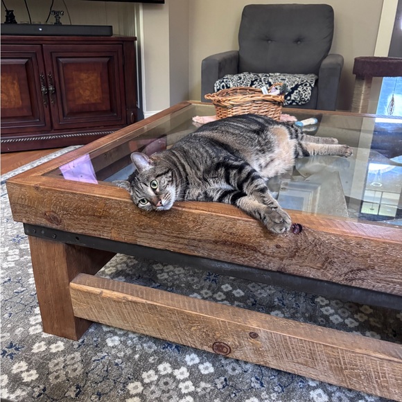 Meet your posher - Picture 5 of 6